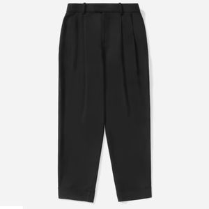 NWT Everlane Put Together Pleated Pants